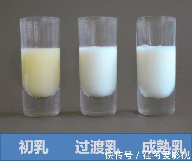 母乳喂养|把母乳放在显微镜下,竟然是“活的”,会微微蠕动