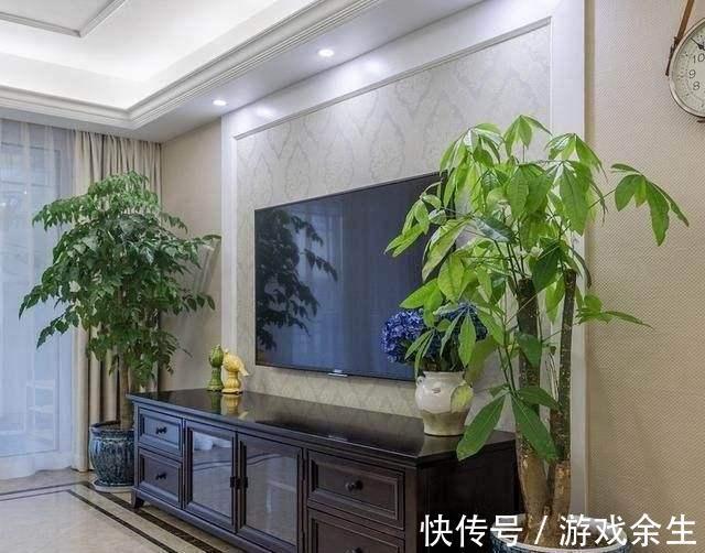 6种“吉利花”不要晒太阳,放在阴凉处,才能长得棒,富贵又旺家