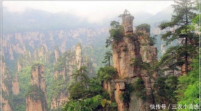 中年|湖南8个景区排行榜 百龙天梯 张家界玻璃桥上榜