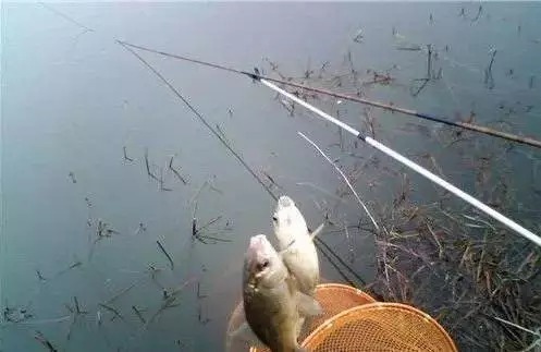 冬季垂钓的五大误区,还不来看看?也许你正在犯这些错误