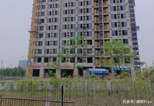 合同|官方回应长沙网红楼盘降价销售，业主要求退房或补差