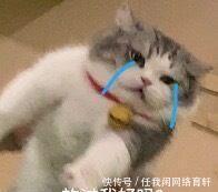 MMP|白灼蒜泥十三香、麻辣冰醉咸蛋黄,小龙虾MMP!