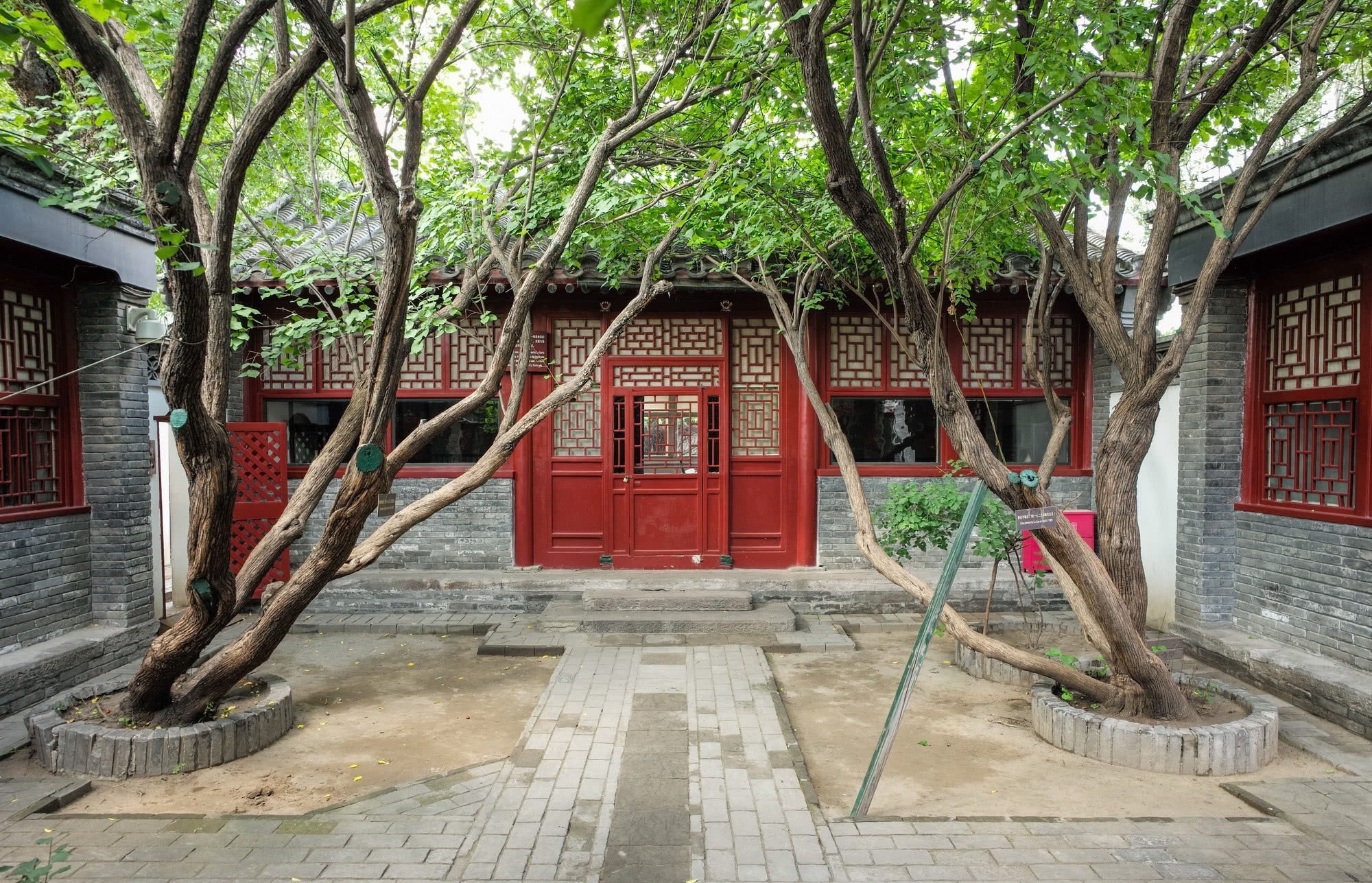 小巷|这小巷中两棵枣树有何神奇,众人争相参观,还引发百年争议