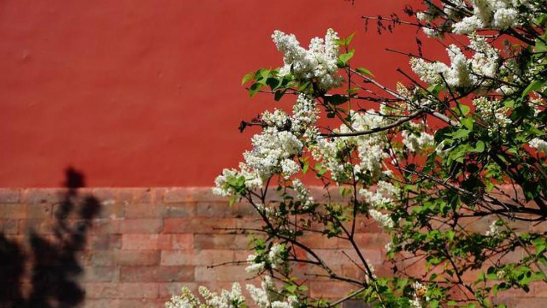 王安石这首诗写得很美,也是达到了诗中有画,画中有诗的境界