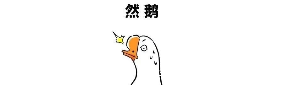 轿子|单身究竟有多幸福,看完这篇娶亲指南我终于懂了