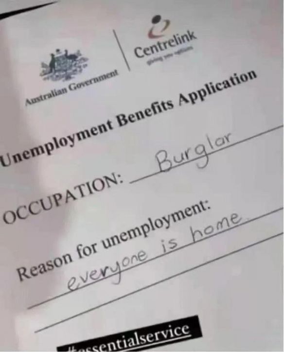 蛤蟆丸|玉兔捣的不是仙草，是蛤蟆丸！奇葩冷知识增加了