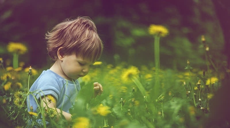 当家长|父母对孩子真正的尊重,就是做到以下几点,可惜很多人忽略了!