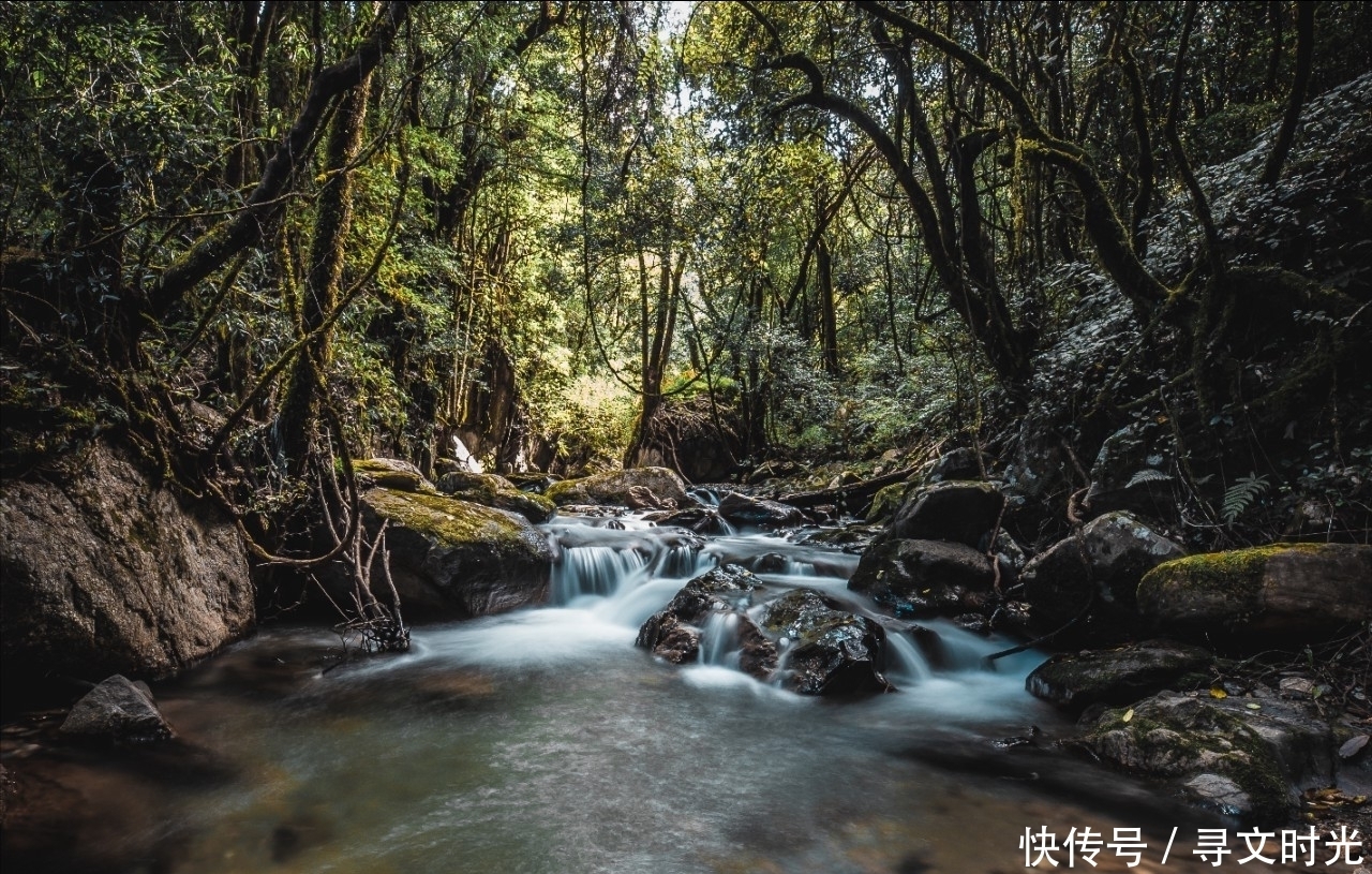 通道|中国历史上最著名的国际贸易古通道之一，茶马古道