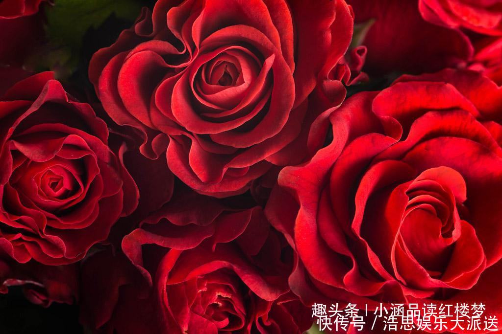 红楼梦玫瑰花变异成四种特殊用品,每一种都让人遐想