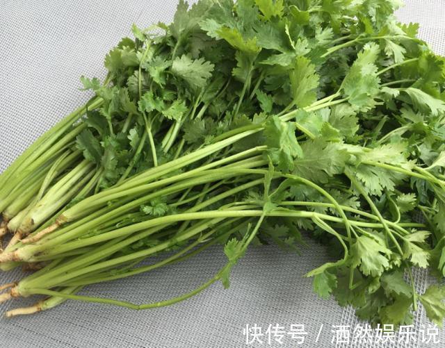 香菜吃不完，婆婆用这种方法保存，香菜新鲜脆嫩，放一年都不会坏