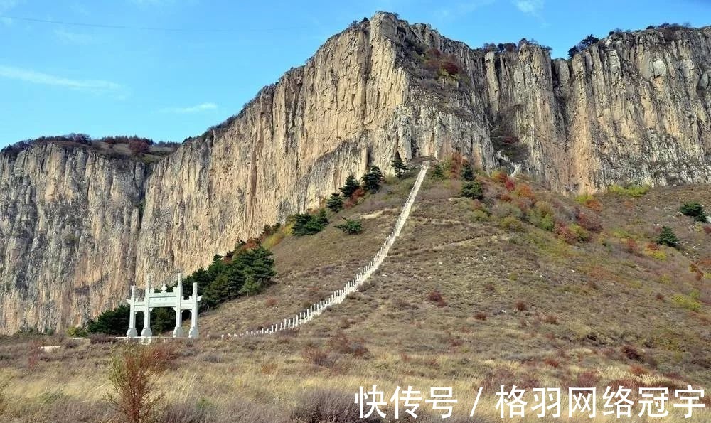 野豌豆|伯夷叔齐饿死不食周粟，采薇而食，“薇”指的什么？