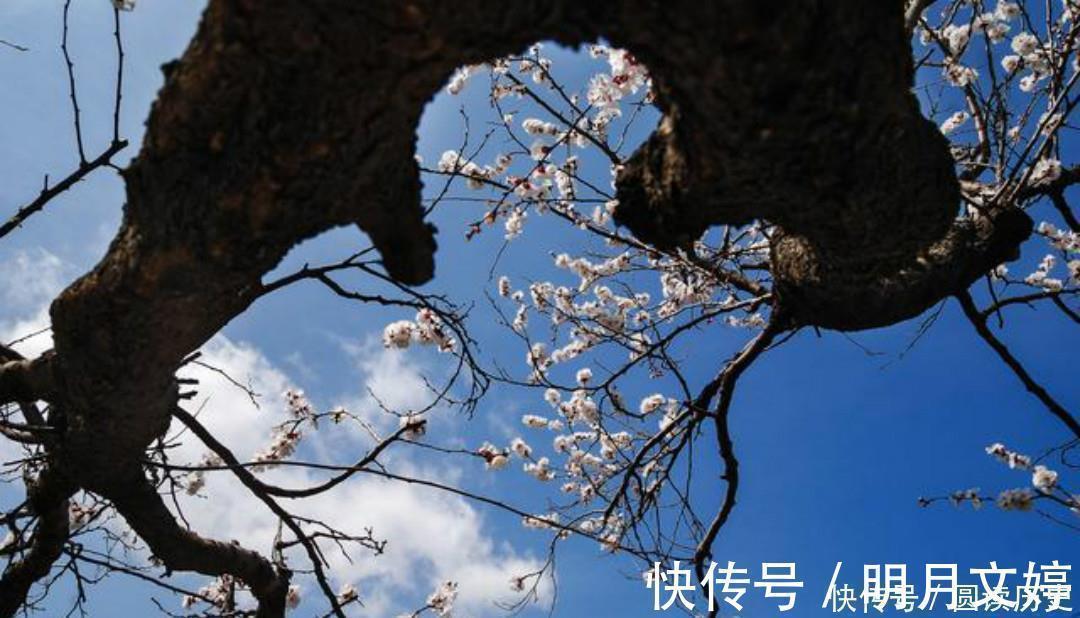 王氏@李商隐的诗常常引用典故,只有这首《落花》,全诗纯用白描的手法