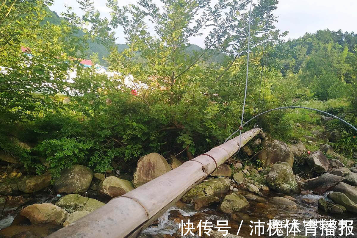 杂草|山村楼房装修豪华,门前堆满柴火,2个儿子3年没回家