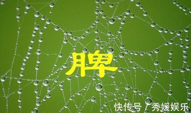 调理|“脾虚百病生”,脾虚的人,注意三个方面健脾,常吃三物做三事