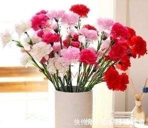 飘香|比桂花还香的6种花卉，种在阳台或放置庭院，满屋子都飘香！