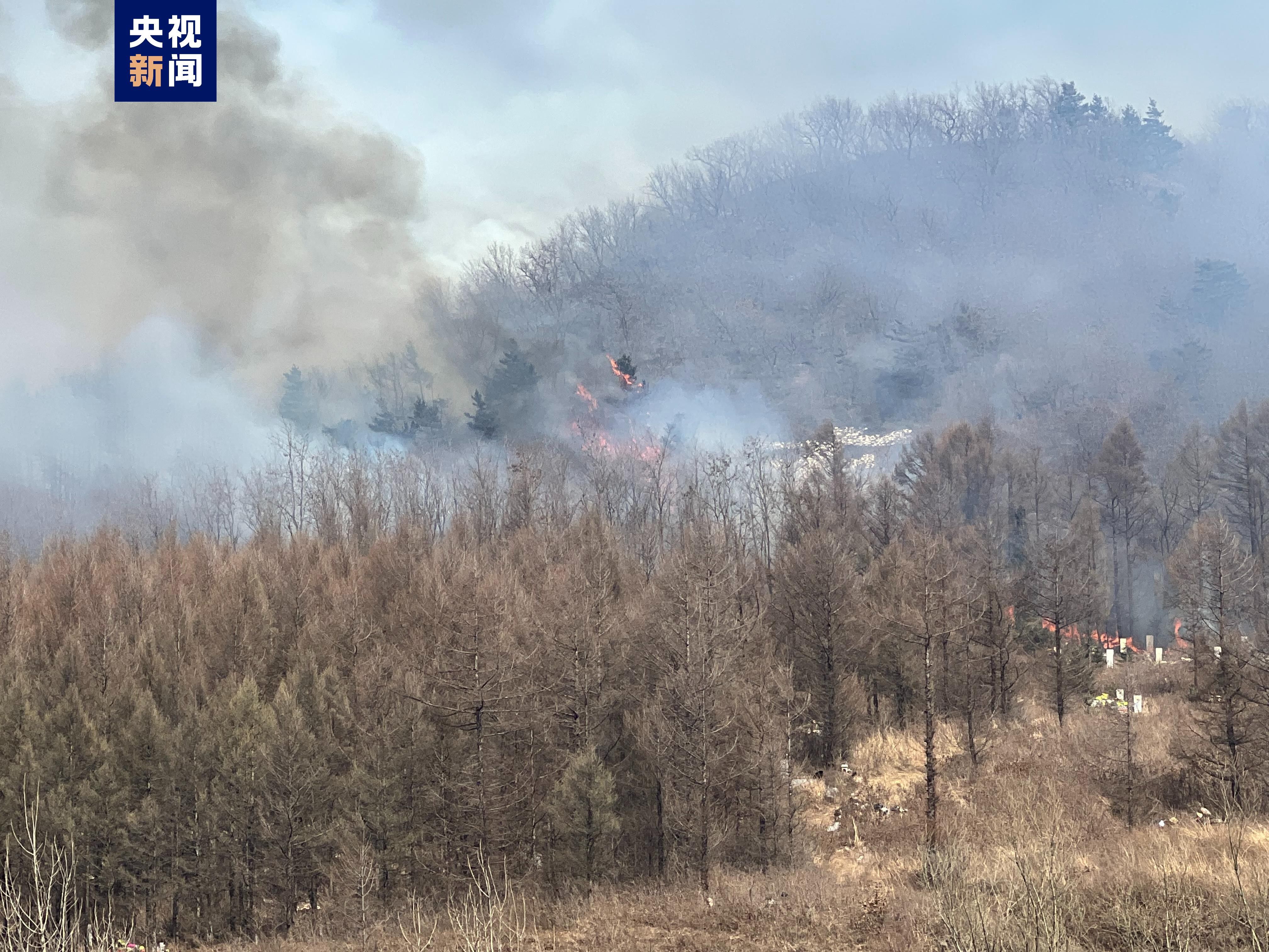 辽宁省本溪市发生山火 现场正在扑救