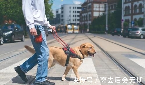 火烈鸟|9条奇葩冷知识,有趣又好玩,每日增长有趣的知识