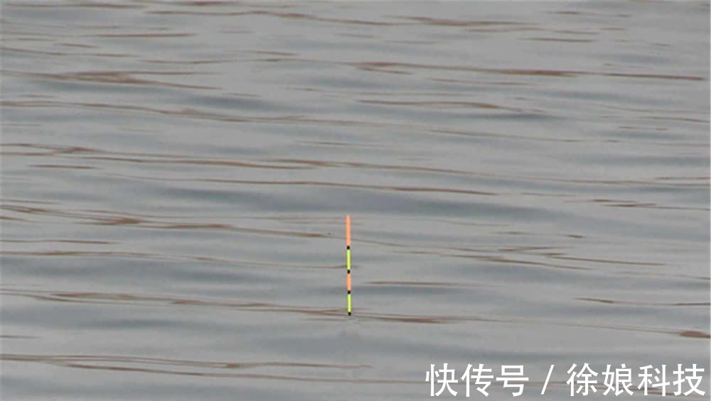 调目与钓目之间有什么关系？弄懂了这些要点，调漂新手变老手！