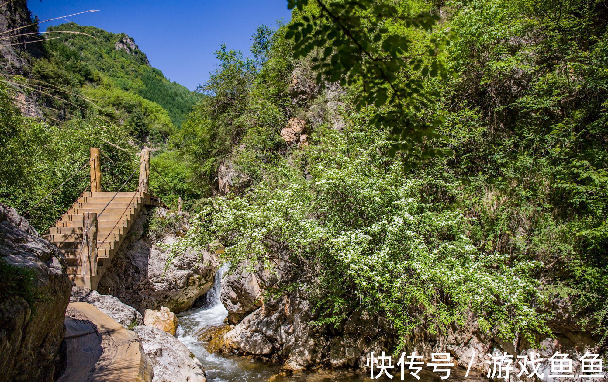 避暑胜地|定西一冷门山区，植被茂密为避暑胜地，名气小游客少形成幽静空间