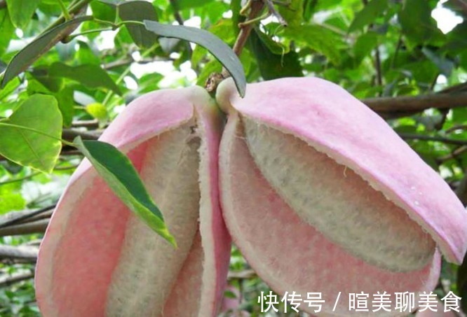 八月瓜|女性不想肚子鼓鼓，可常吃此果，腰不痛，腿不酸，子宫越来越干净