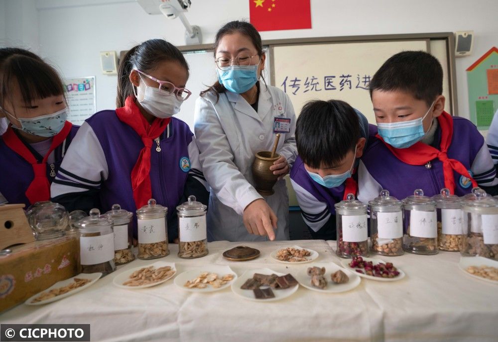 中医|体验中医文化 迎接“世界传统医药日”