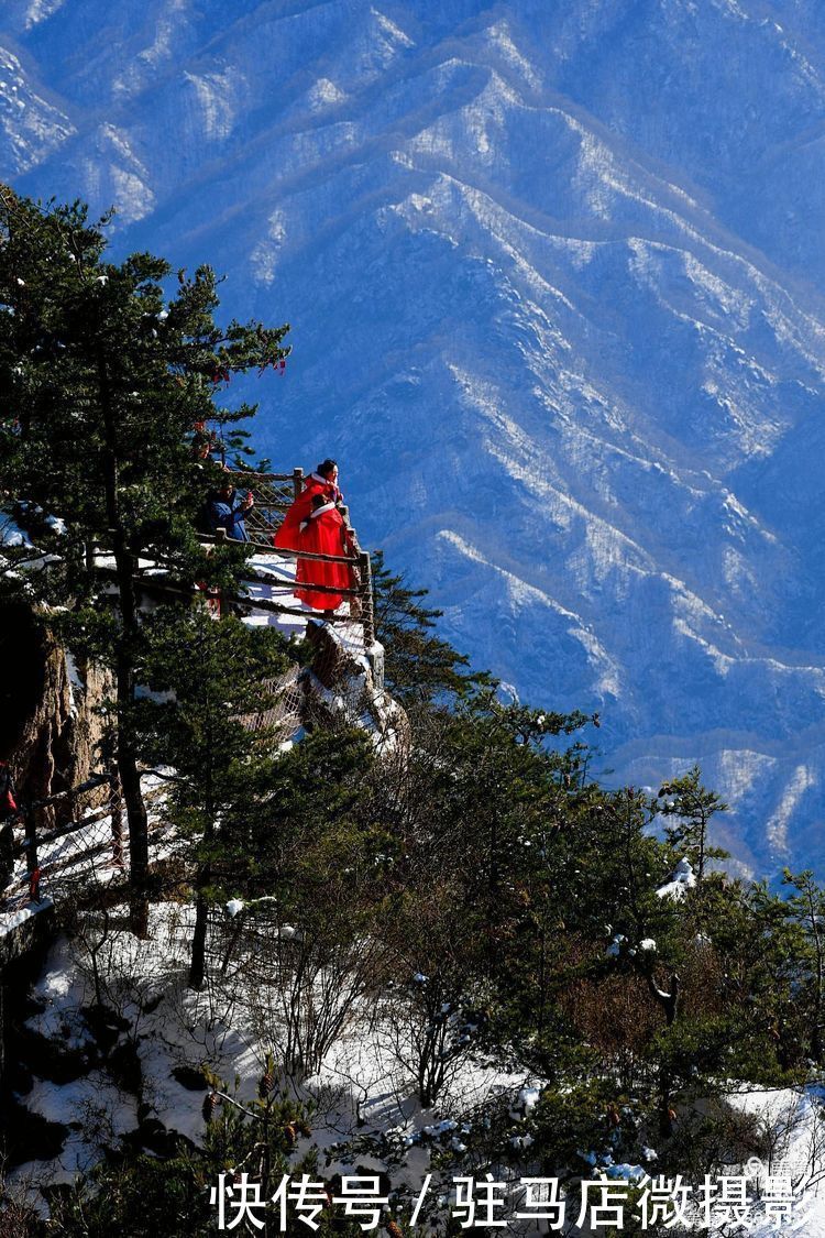 老君山：追梦你的白雪，你却馈赠天宫云海