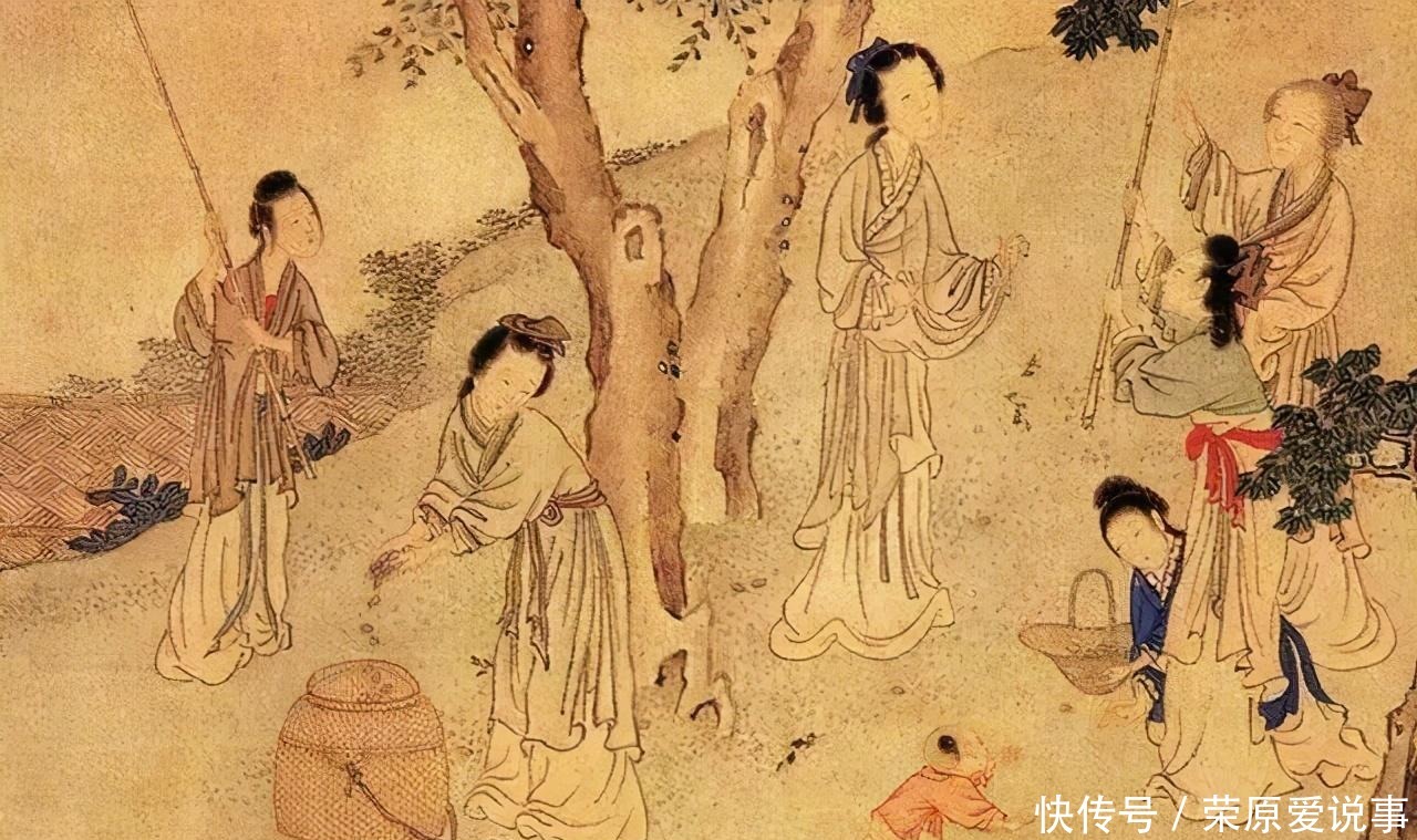 想在收藏路上走得更远,赶紧补上这一课