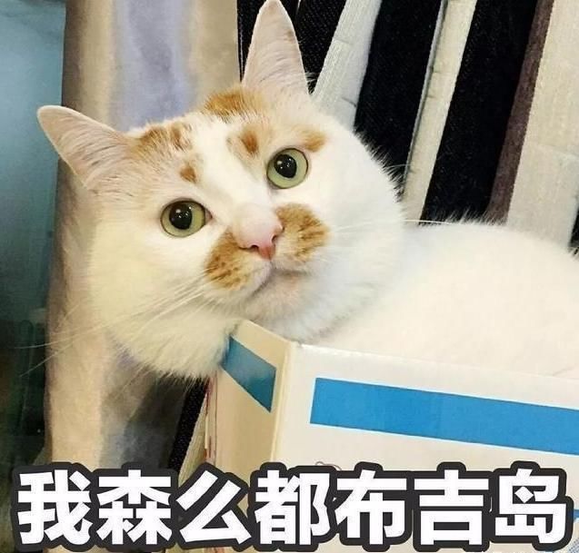 b超|小男孩严肃地问医生:我是怀孕了吗?大夫拍拍孩子小脸:没事哈!