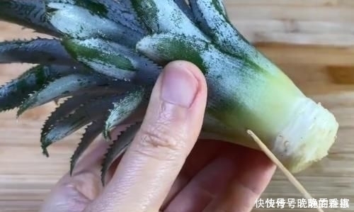 吃剩下的“菠萝头”不要扔,插3根牙签,放在家里太棒了,快学学