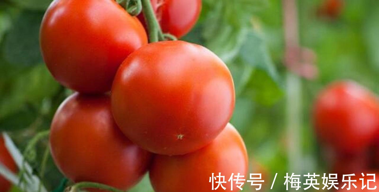 发黄|皮肤发黄吃什么?三种食物可有效美白,做你的皮肤保养师
