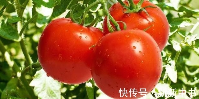 高血压|医生告诉您高血压饮食并没有绝对不能吃的食物!但要注意这5点