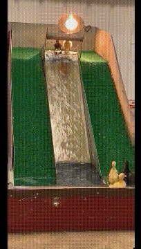 |搞笑GIF:妹子,你这太欺负人了,让你的粉丝情何以堪