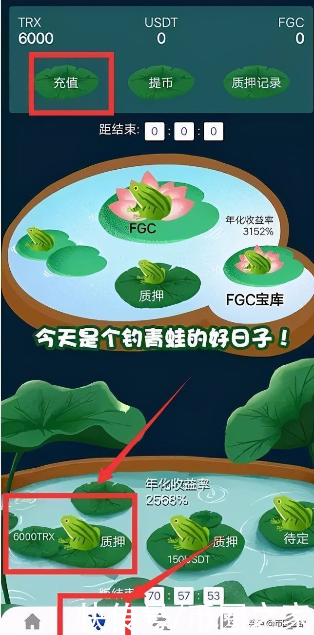 钱包|卷款3000万跑路！青蛙钱包提现困难已崩盘，你还在做发财梦？