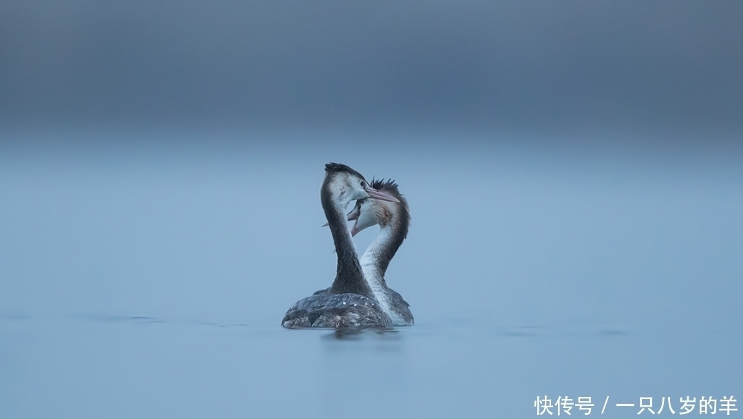 白话文|两情相悦的诗句有哪些,精选十五句带白话文意思及翻译