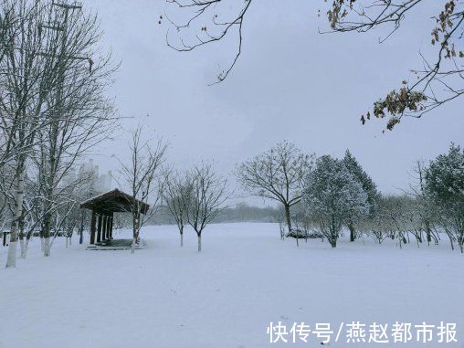 柏林公园|雪后的石家庄柏林公园景色有多美，大家一起来看看吧