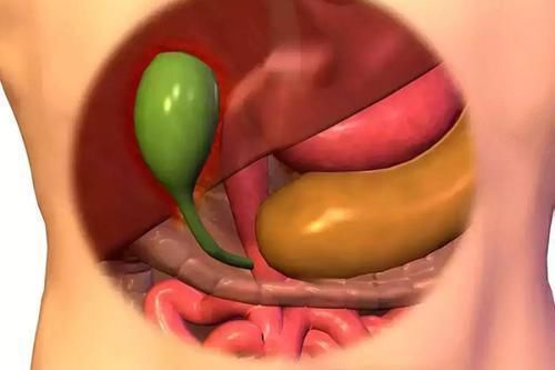 切除|胆囊切除后，是否会影响健康？哪些食物需要忌口？不妨了解下