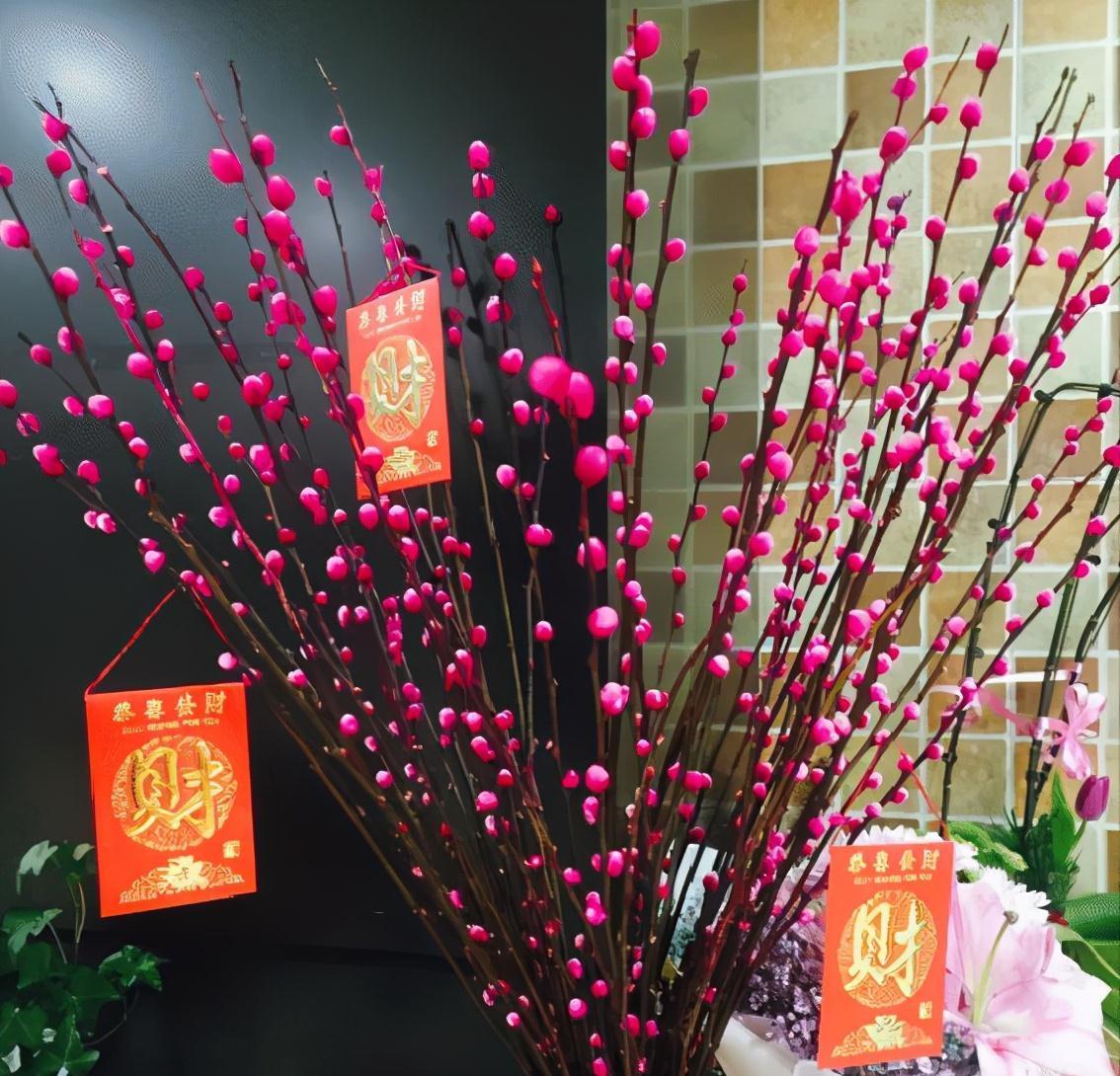 吉利|10种“旺运花”开花红艳艳,现在养一盆,春节刚好开,红火显富贵