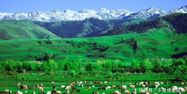 西藏|中国最美六大草原:每一个都直击心灵,你去过几个地方?