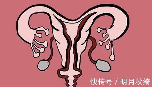 精子|进入女性体内,没和卵子相遇的小蝌蚪去哪了?答案非常有意思
