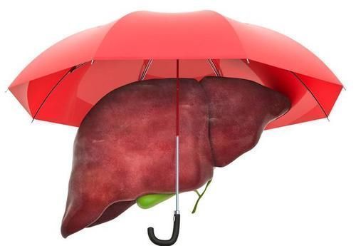 肝脏|肝不好不能喝蜂蜜?提醒:想要肝脏健康,3食物尽量少碰