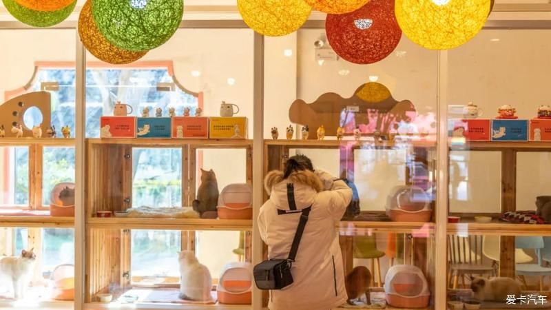 老年|走进富有年味的周庄