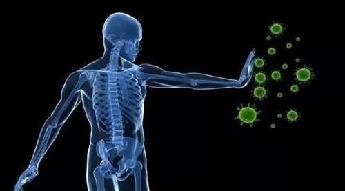 白朮|防风+黄芪+白术，3味药成就一个千古名方玉屏风散，增强免疫力