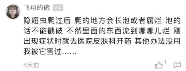 隐翅虫皮炎|女子清晨被痛醒，一照镜子吓坏了！睡觉千万别这么做……