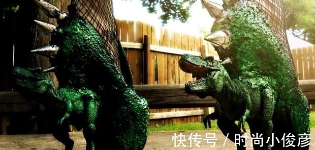 鹅妈妈的故事 全网最奇葩的鞋子大盘点,一般人驾驭不了