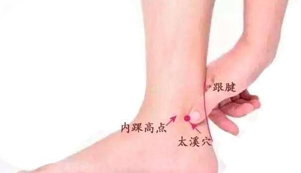 关元@经气养生法基本功,关元桩介绍