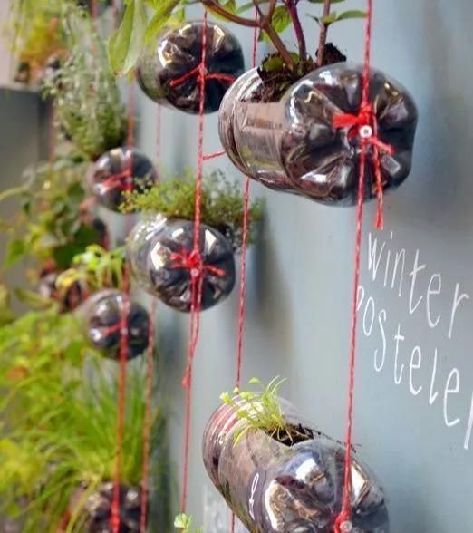 植物|没地种花种菜,没时间浇水几个塑料瓶就能解决,DIY变废为宝