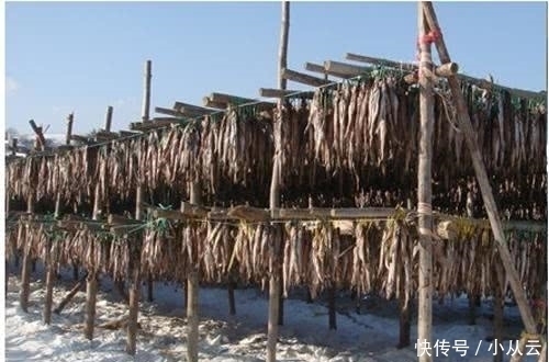 晒干用木棒打碎最好吃,我国只有东北人吃,口味鲜嫩