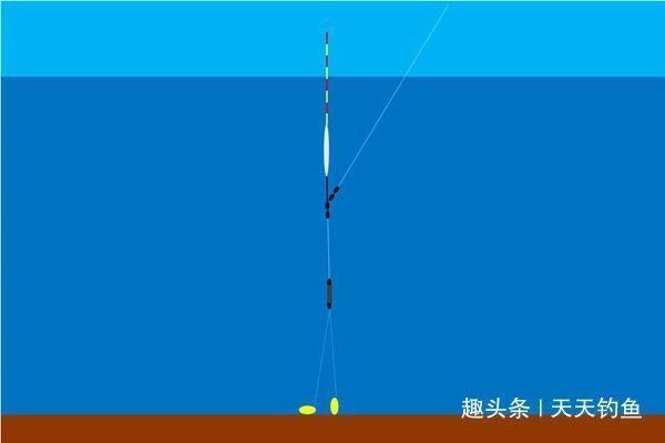 适口性|三伏天钓鲫鱼,鱼口轻微,只需用这几招,鲫鱼连竿上,很过瘾