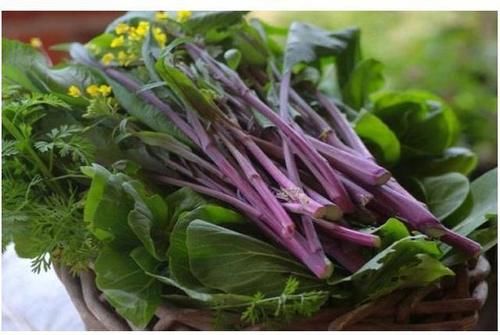 鹌鹑蛋|女性到了中年常吃的食物，祛皱润肤，延缓衰老，增强体质