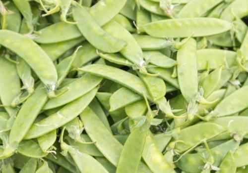 医生提醒:这6种蔬菜要停止食用,现在知道不算晚,平时别忽略